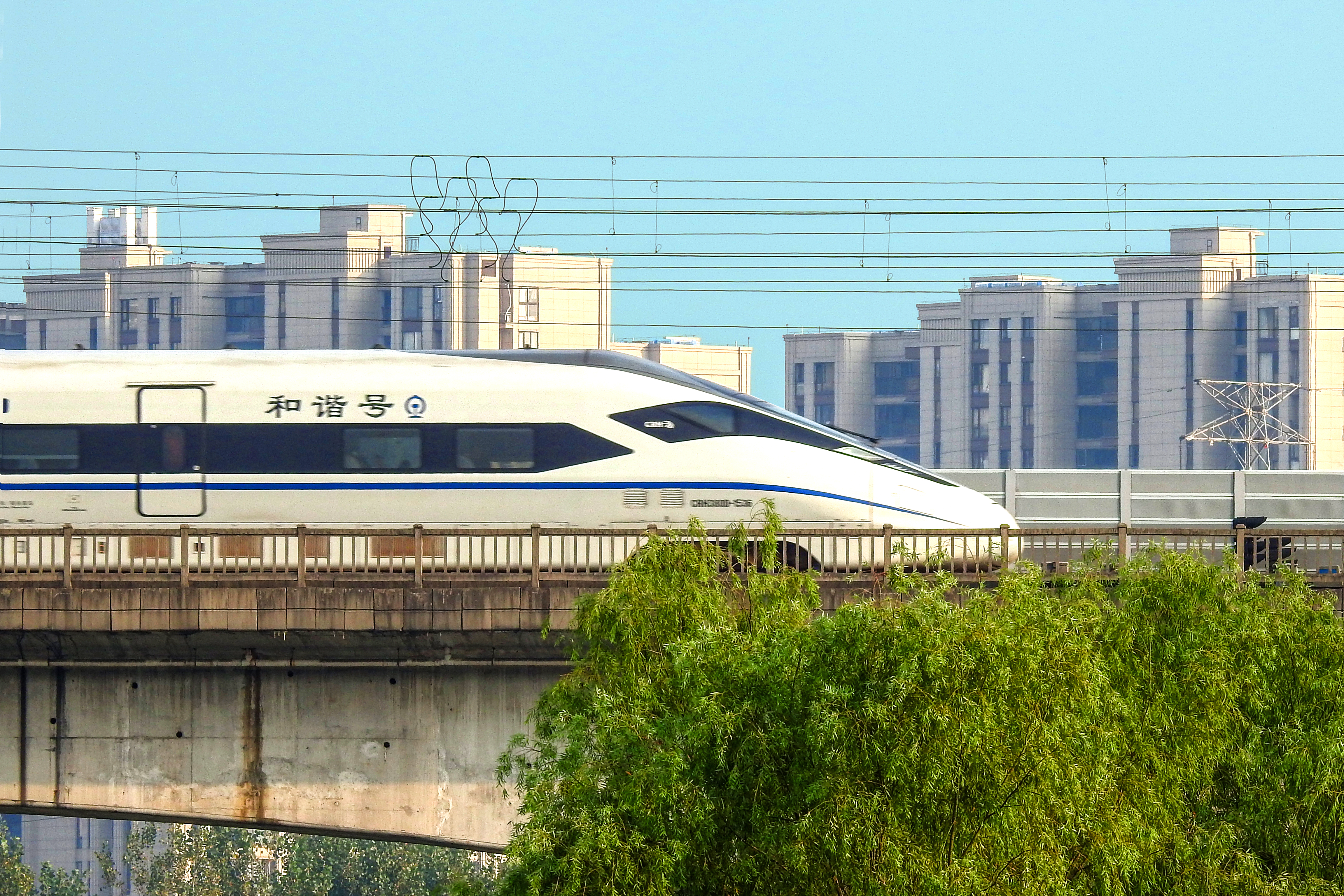 海運(yùn)費(fèi)原來(lái)是這樣花掉的！集裝箱運(yùn)費(fèi)的計(jì)算